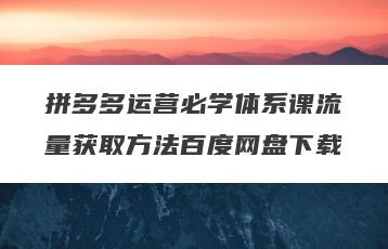 拼多多运营必学体系课流量获取方法百度网盘下载