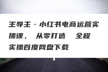 王导主·小红书电商运营实操课，​从零打造  全程实操百度网盘下载