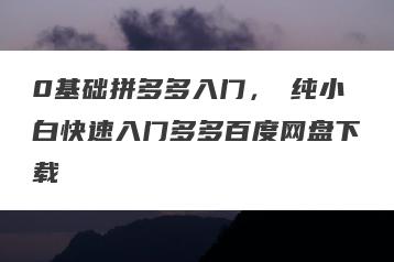 0基础拼多多入门，​纯小白快速入门多多百度网盘下载