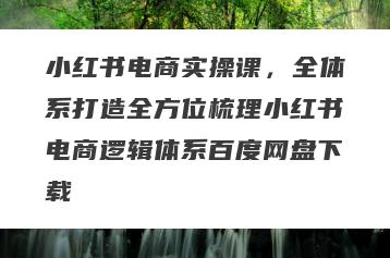 小红书电商实操课，全体系打造全方位梳理小红书电商逻辑体系百度网盘下载