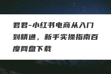 君君-小红书电商从入门到精通，新手实操指南百度网盘下载