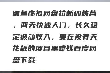 闲鱼虚拟网盘拉新训练营，两天快速人门，长久稳定被动收入，要在没有天花板的项目里赚钱百度网盘下载