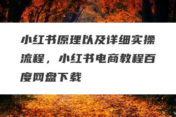 小红书原理以及详细实操流程，小红书电商教程百度网盘下载