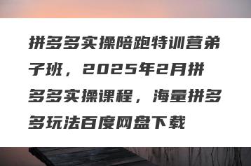 拼多多实操陪跑特训营弟子班，2025年2月拼多多实操课程，海量拼多多玩法百度网盘下载