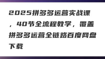 2025拼多多运营实战课，40节全流程教学，覆盖拼多多运营全链路百度网盘下载