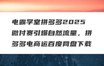 电霸学堂拼多多2025微付赛引爆自然流量,拼多多电商运百度网盘下载