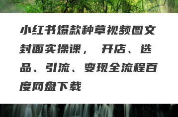 小红书爆款种草视频图文封面实操课，​开店、选品、引流、变现全流程百度网盘下载