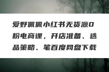爱野佩佩小红书无货源0粉电商课，开店准备、选品策略、笔百度网盘下载