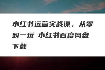 小红书运营实战课，从零到一玩賺小红书百度网盘下载