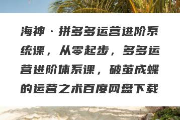 海神·拼多多运营进阶系统课，从零起步，多多运营进阶体系课，破茧成蝶的运营之术百度网盘下载