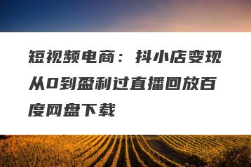 短视频电商：抖小店变现从0到盈利过直播回放百度网盘下载