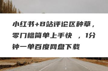 小红书+B站评论区种草，零门槛简单上手快 ，1分钟一单百度网盘下载