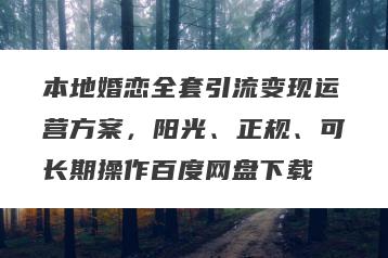 本地婚恋全套引流变现运营方案，阳光、正规、可长期操作百度网盘下载