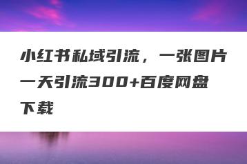 小红书私域引流，一张图片一天引流300+百度网盘下载