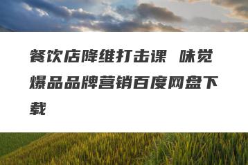 餐饮店降维打击课 味觉爆品品牌营销百度网盘下载