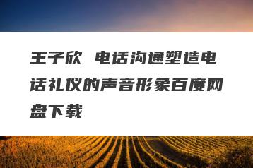 王子欣 电话沟通塑造电话礼仪的声音形象百度网盘下载