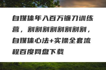 自媒体年入百万镰刀训练营，割割割割割割割割，自媒体心法+实操全套流程百度网盘下载