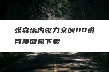 张嘉添内驱力案例110讲百度网盘下载