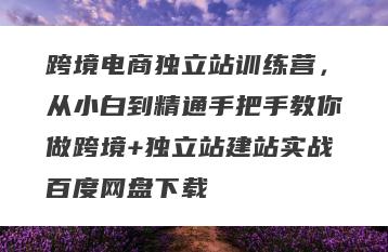 跨境电商独立站训练营，从小白到精通手把手教你做跨境+独立站建站实战百度网盘下载
