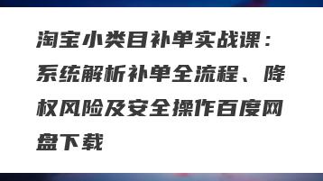 淘宝小类目补单实战课：系统解析补单全流程、降权风险及安全操作百度网盘下载