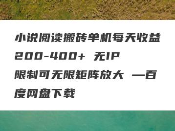 小说阅读搬砖单机每天收益200-400+ 无IP限制可无限矩阵放大 —百度网盘下载