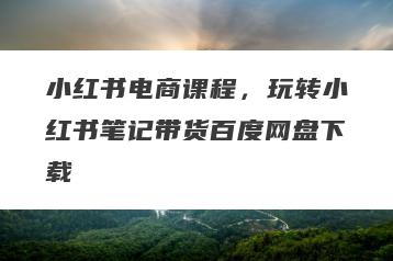 小红书电商课程，玩转小红书笔记带货百度网盘下载
