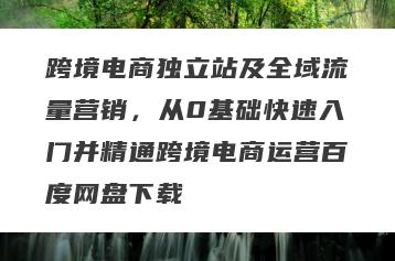 跨境电商独立站及全域流量营销，从0基础快速入门并精通跨境电商运营百度网盘下载