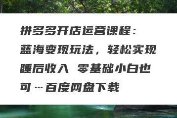 拼多多开店运营课程： 蓝海变现玩法，轻松实现睡后收入 零基础小白也可…百度网盘下载