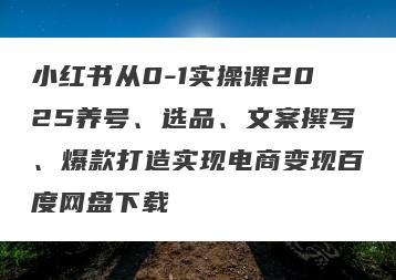 小红书从0-1实操课2025养号、选品、文案撰写、爆款打造实现电商变现百度网盘下载