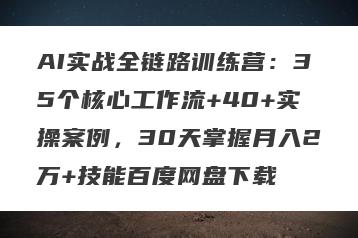 AI实战全链路训练营：35个核心工作流+40+实操案例，30天掌握月入2万+技能百度网盘下载