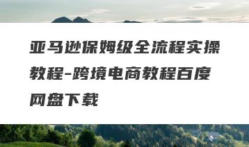 亚马逊保姆级全流程实操教程-跨境电商教程百度网盘下载