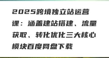 2025跨境独立站运营课：涵盖建站搭建、流量获取、转化优化三大核心模块百度网盘下载