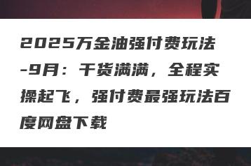 2025万金油强付费玩法-9月：干货满满，全程实操起飞，强付费最强玩法百度网盘下载