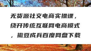 无货源社交电商实操课，绕开传统互联网电商模式，撒豆成兵百度网盘下载