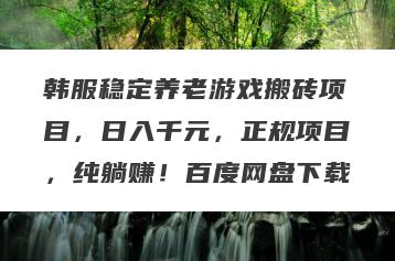 韩服稳定养老游戏搬砖项目，日入千元，正规项目，纯躺赚！百度网盘下载