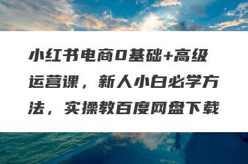 小红书电商0基础+高级运营课，新人小白必学方法，实操教百度网盘下载