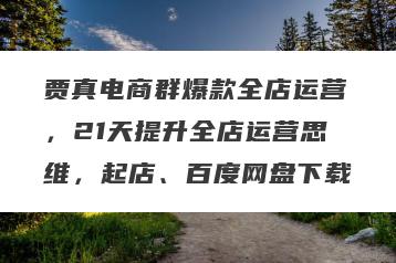 贾真电商群爆款全店运营，21天提升全店运营思维，起店、百度网盘下载