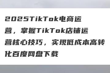2025TikTok电商运营，掌握TikTok店铺运营核心技巧，实现低成本高转化百度网盘下载