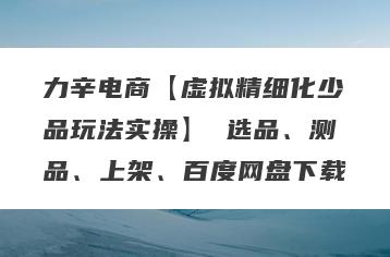 力辛电商【虚拟精细化少品玩法实操】 选品、测品、上架、百度网盘下载