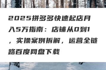 2025拼多多快速起店月入5万指南：店铺从0到1，实操案例拆解，运营全链路百度网盘下载