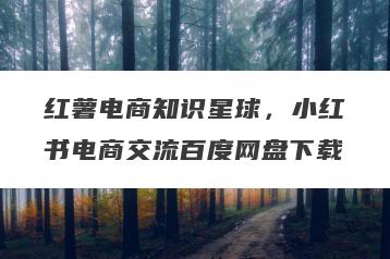 红薯电商知识星球，小红书电商交流百度网盘下载
