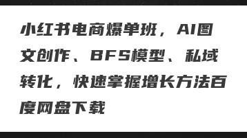 小红书电商爆单班，AI图文创作、BFS模型、私域转化，快速掌握增长方法百度网盘下载