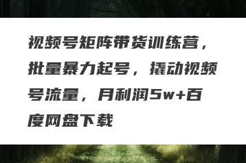 视频号矩阵带货训练营，批量暴力起号，撬动视频号流量，月利润5w+百度网盘下载