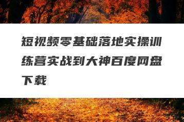 短视频零基础落地实操训练营实战到大神百度网盘下载