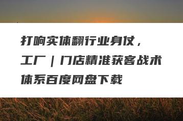 打响实体翻行业身仗，​工厂｜门店精准获客战术体系百度网盘下载