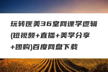 玩转医美36堂网课学逻辑(短视频+直播+美学分享+团购)百度网盘下载