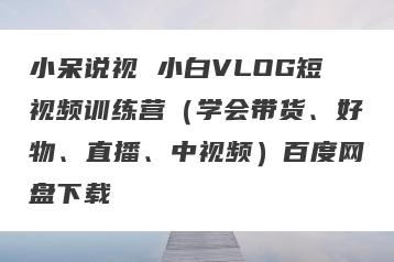小呆说视 小白VLOG短视频训练营（学会带货、好物、直播、中视频）百度网盘下载