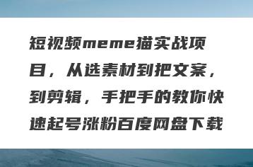 短视频meme猫实战项目，从选素材到把文案，到剪辑，手把手的教你快速起号涨粉百度网盘下载