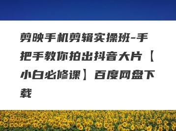 剪映手机剪辑实操班-手把手教你拍出抖音大片【小白必修课】百度网盘下载