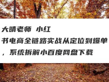 大晴老师・小红书电商全链路实战从定位到爆单，系统拆解小百度网盘下载